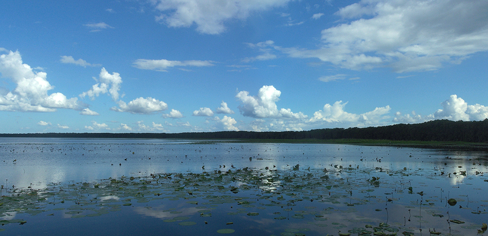 Newnans Lake
