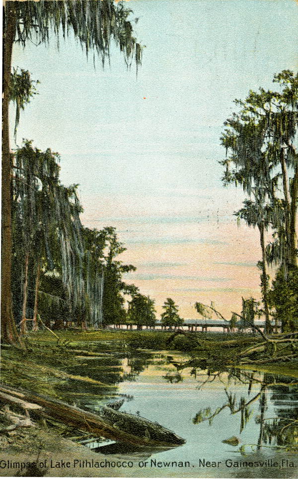 Hand colored postcard from 1919 of Newnans Lake