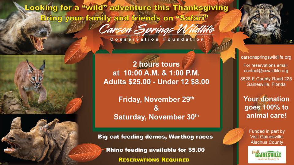 Exotic animals on display with fall leaves. Looking for a wild adventure this thanksgiving bring your family and friends on Safari with Carson Springs Wildlife Friday and Saturday