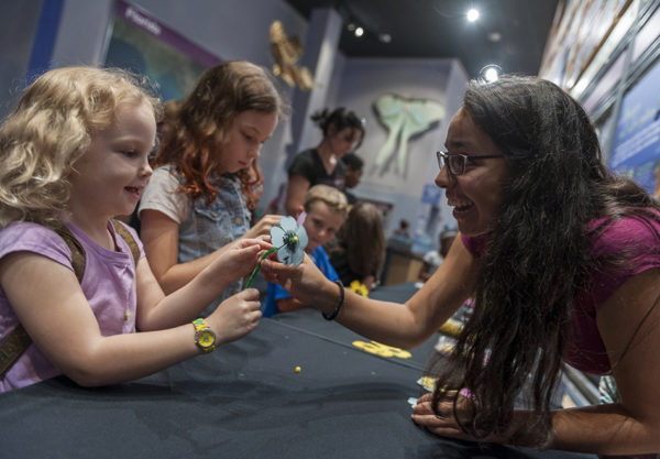 people looking at toy flower