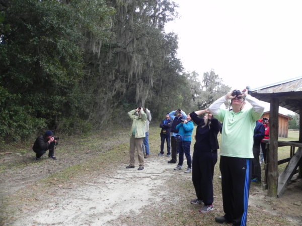 people using binoculars to watch birds
