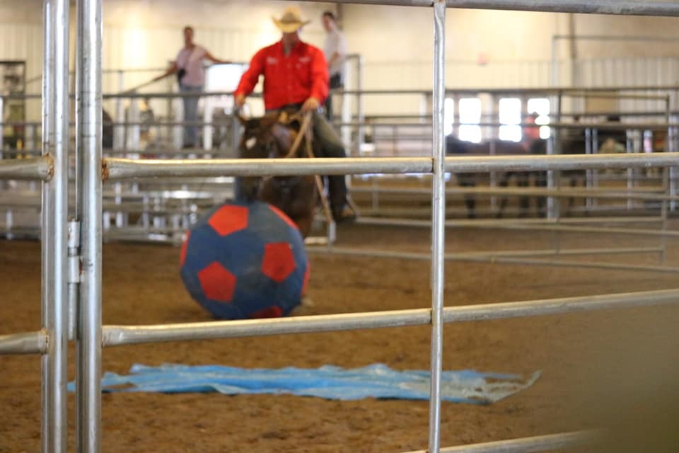 Everything Equine Expo - rider in horse arena