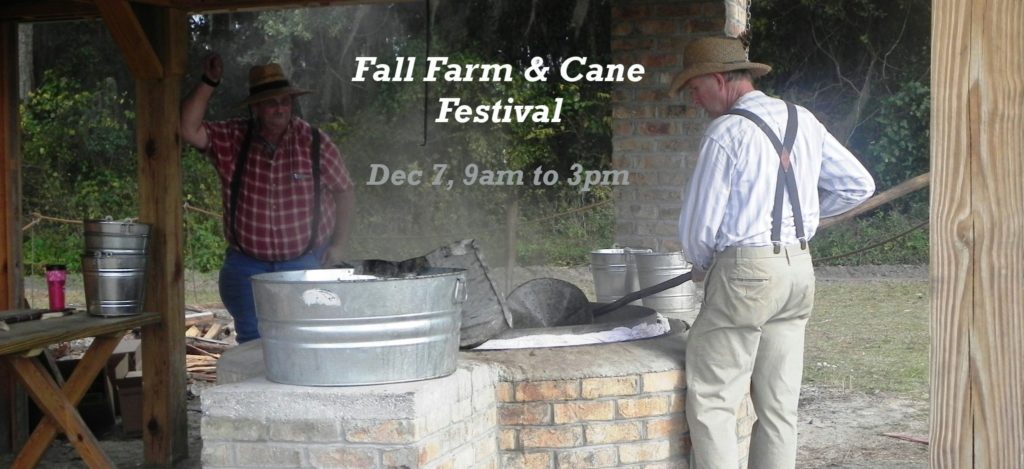 Boiling down sugar cane juice at Dudley Farm