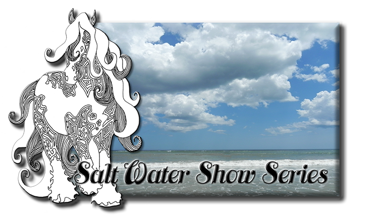 Saltwater Show Series logo with blue sky