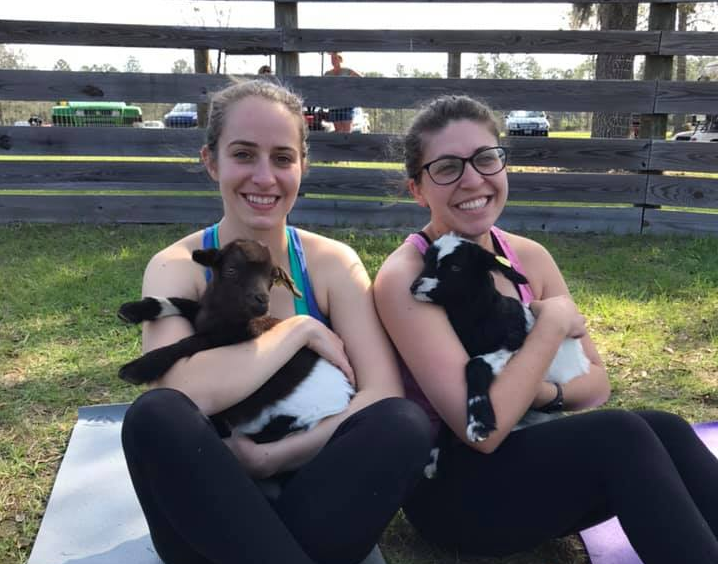 Poster for Goat Yoga with Krazy Hearts Farm