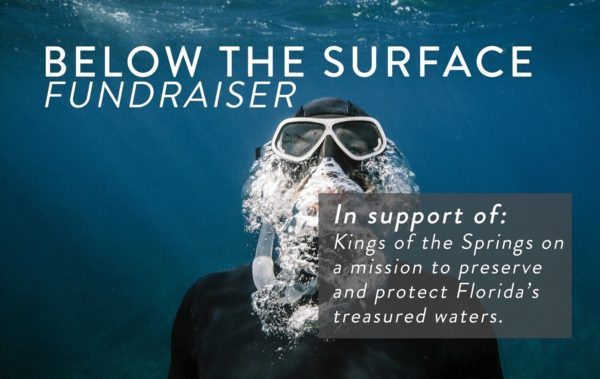 diver under water with snorkel mask. Below the Surface Fundraiser
