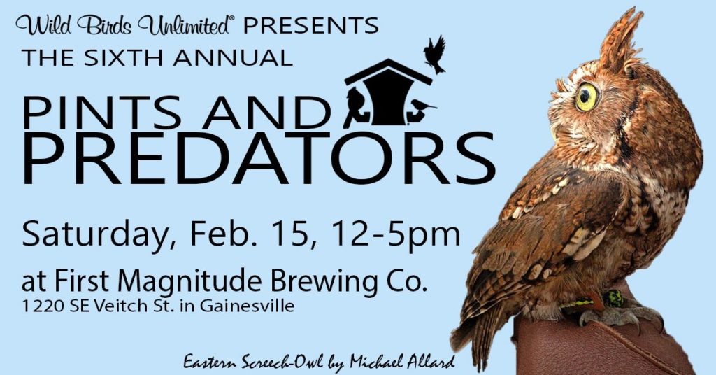 Pints and Predators, image of horned owl