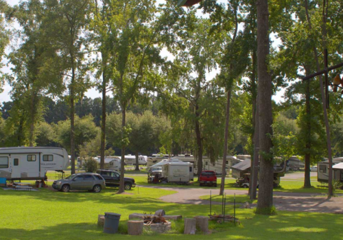 RVs and campers at travelers campground