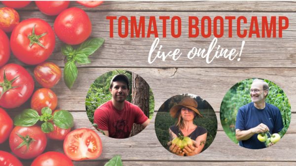 Tomato workshop