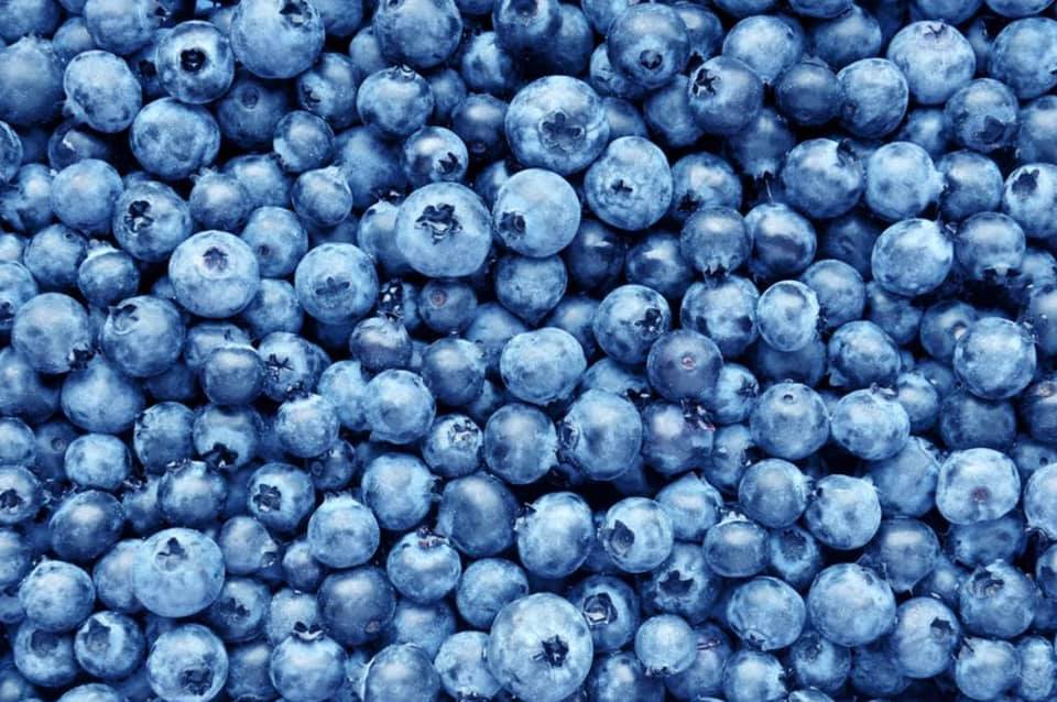 blueberries