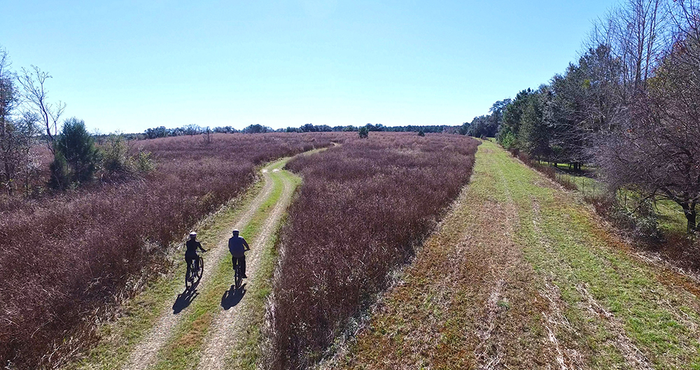 couple mountain biking