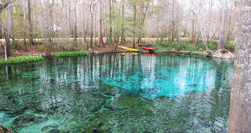 clear water at ginnie springs
