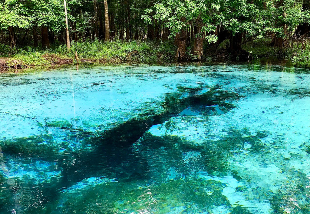 Splash Into the Springs Near Gainesville, FL »