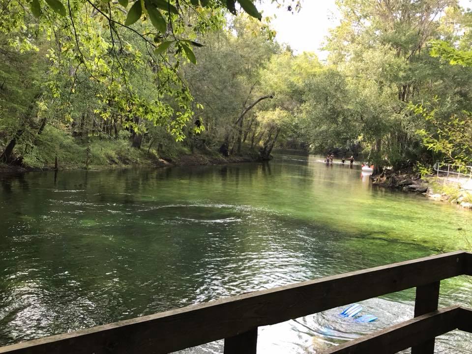 Spring water at Poe Springs Park