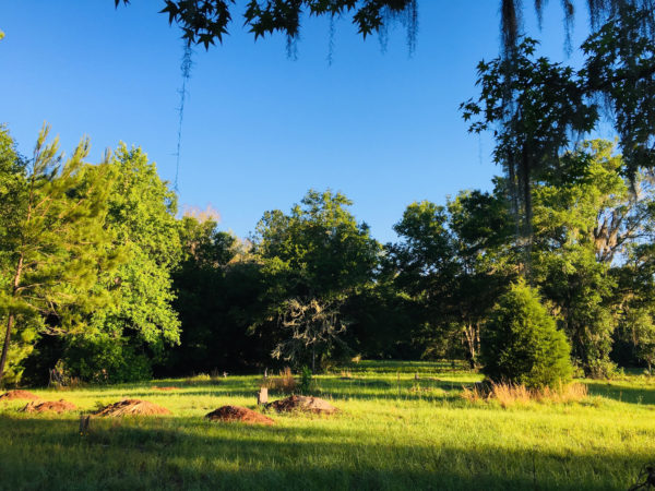 natural burial meadow