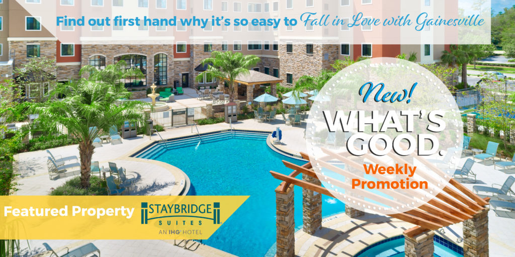 staybridge suites pool in background whats good promotion
