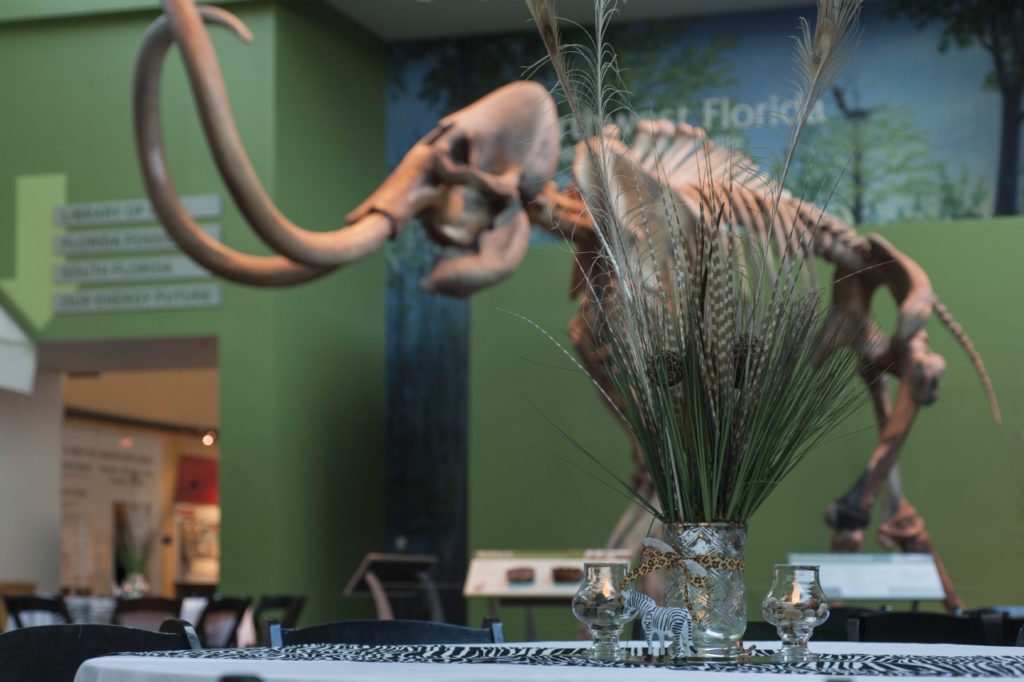 Rental set up at the florida museum. Decorated table in the Denny gallery with mammoth skeleton in the background