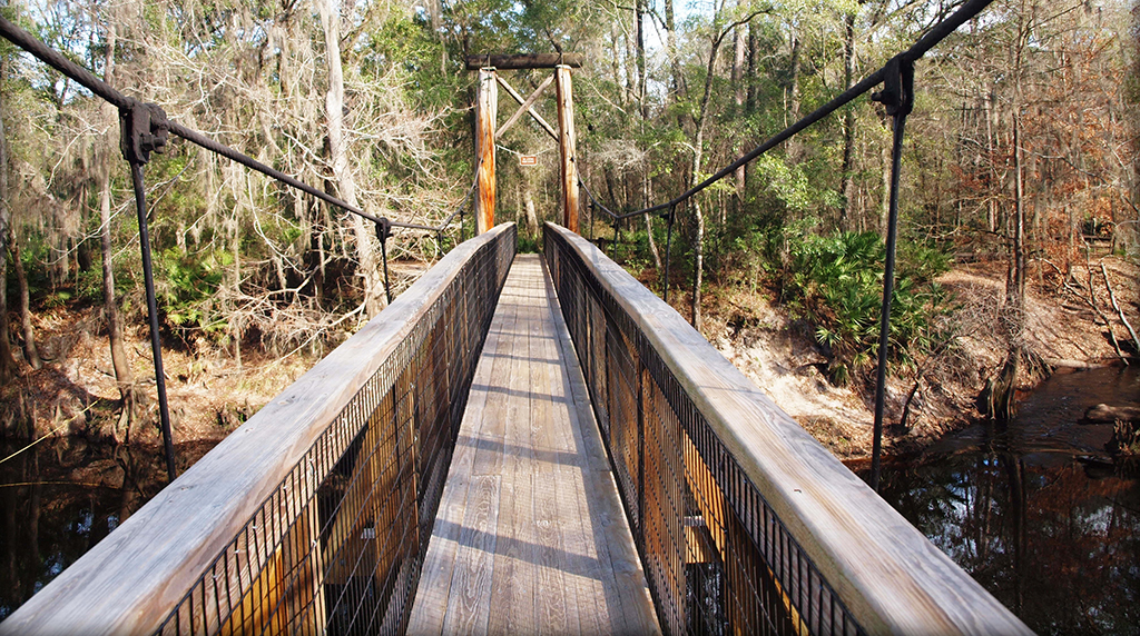 bridge at oleno state park
