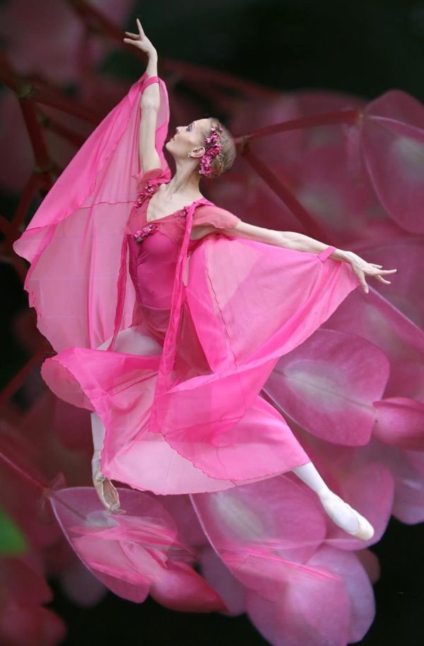 midsummer nights dream dancer