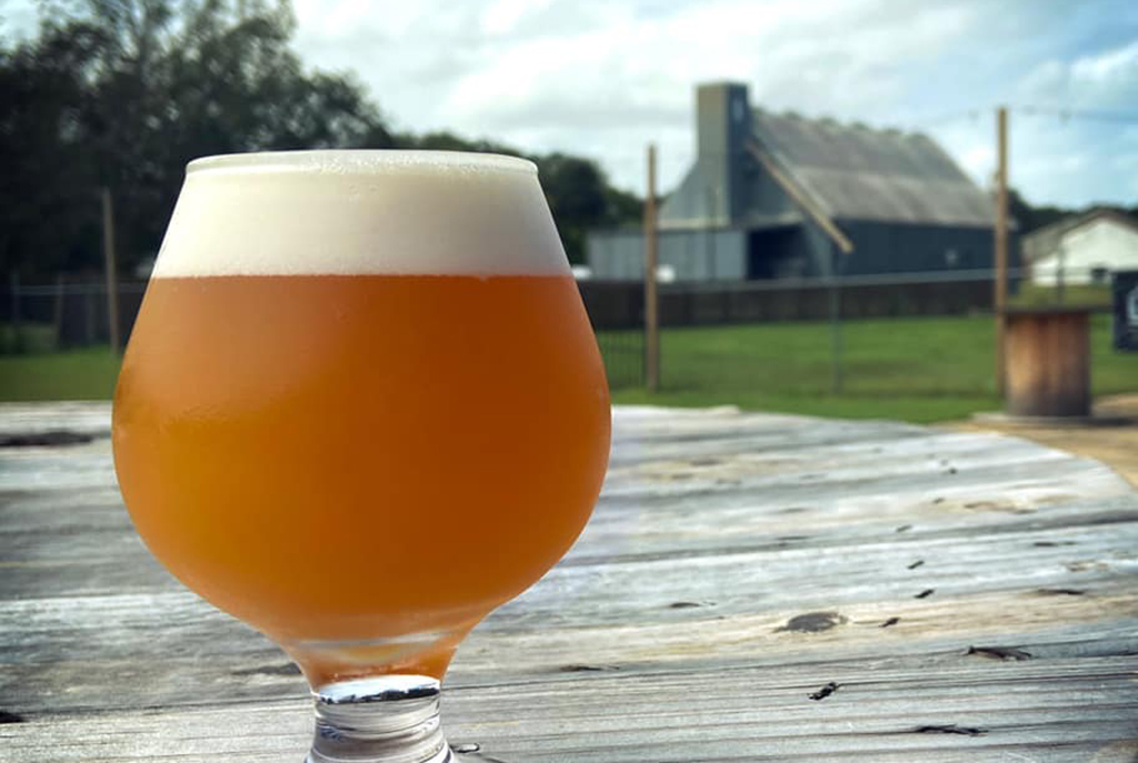 Glass of craft beer at high springs brewing company