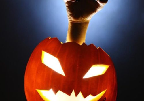 when is halloween 2020 in gainesville fl Gainesville Archives Events In Gainesville And What S Good In Alachua County Fl when is halloween 2020 in gainesville fl