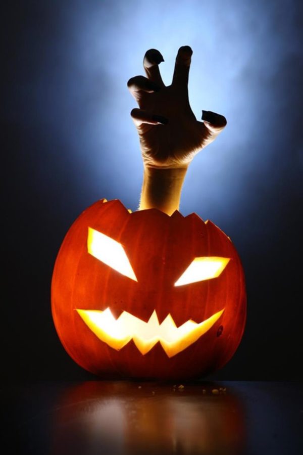 when is halloween 2020 in gainesville fl Great Halloween Costume Sale Events In Gainesville And What S Good In Alachua County Fl when is halloween 2020 in gainesville fl