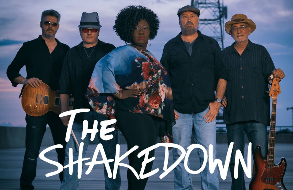 the shakedown