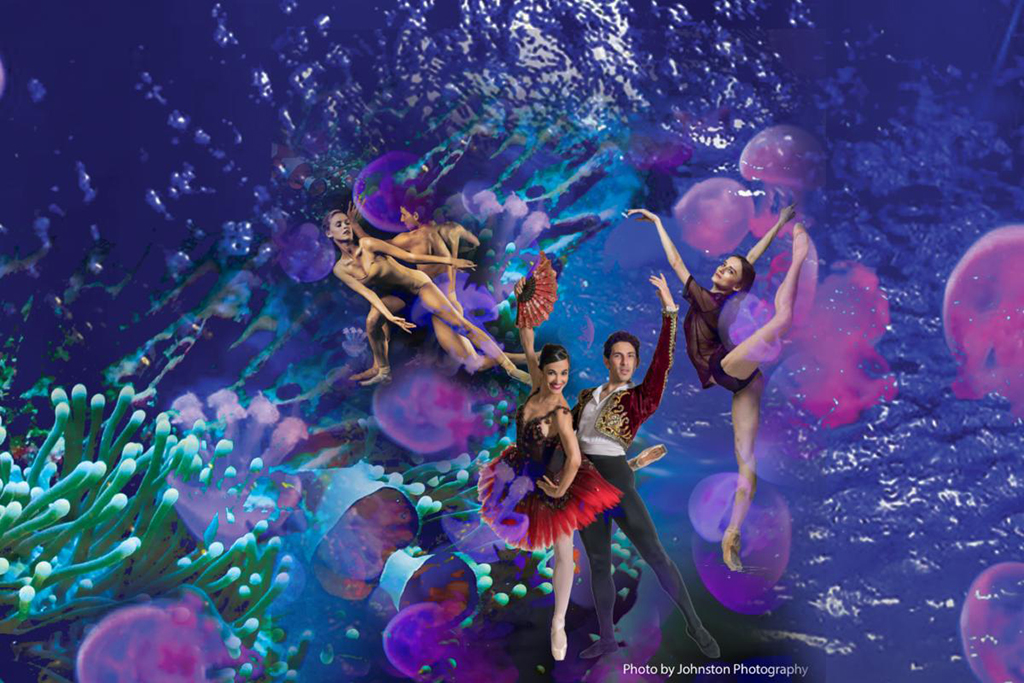 ballet and beyond