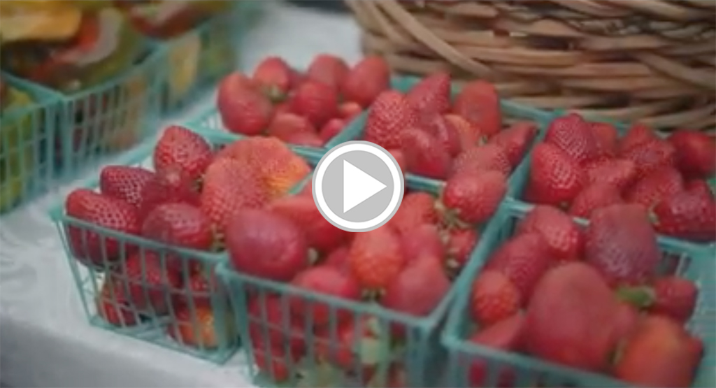 strawberries with play button for video about the market