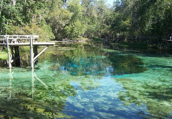 blue springs