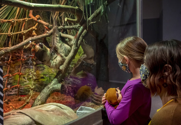 people looking into enclosure