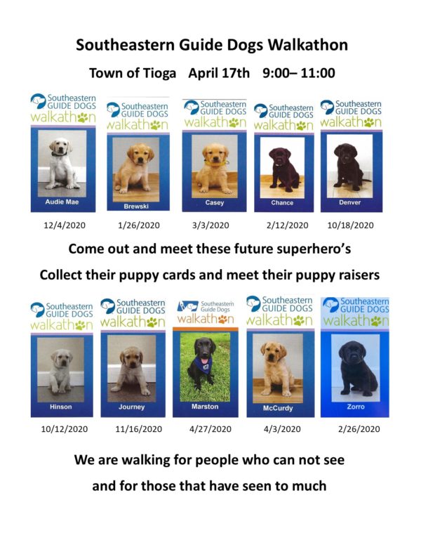 puppy cards