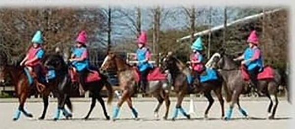 equestrian mounted drill team
