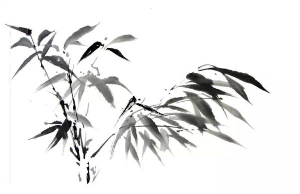 sumi-e style illustration of bamboo