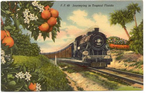 historic train traveling through ornage groves