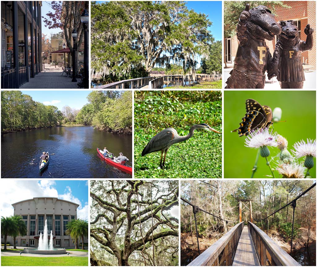 montage of images from alachua county, ranging from paddling the santa fe river, strolling through downtown gainesville and gator statues at the university of florida
