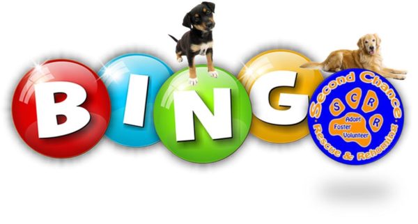 BINGO
