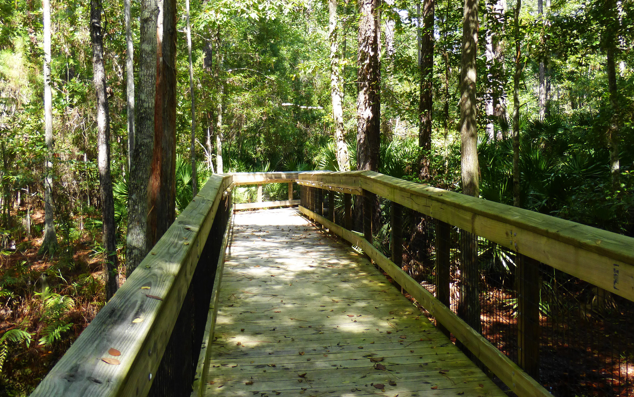 Morningside Nature Center