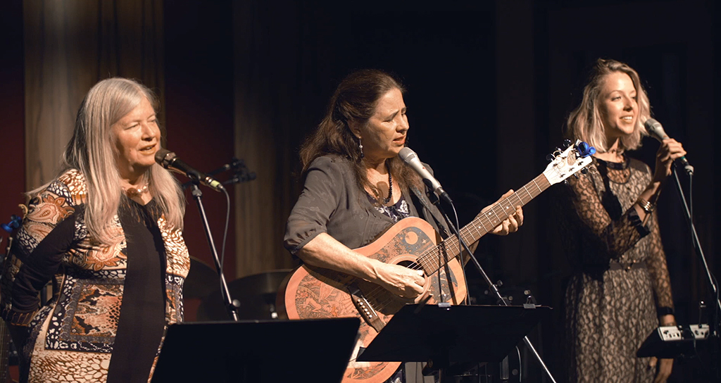 the ruckus musicians