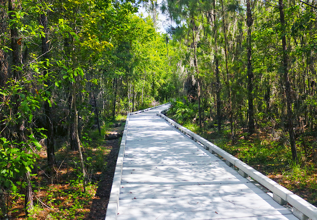 boardwalk trail at barr hammock preserve

