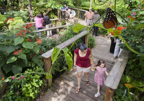 people at the butterfly rainforest