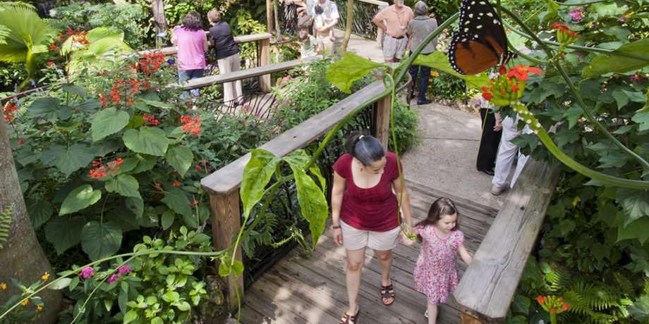 people at the butterfly rainforest