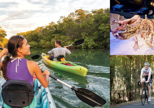 collage of kayaker, biker and fossils