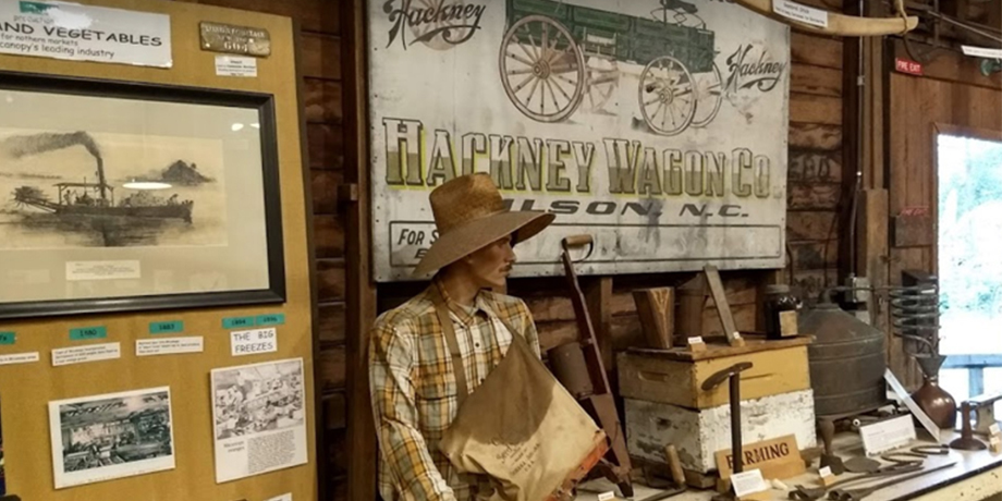 Micanopy historical society museum