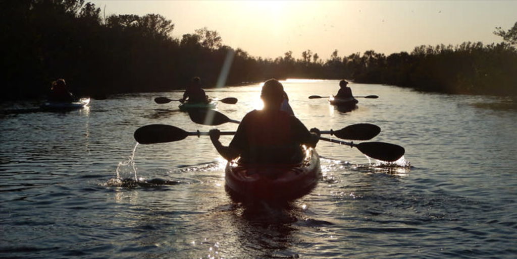 kayakers on the water