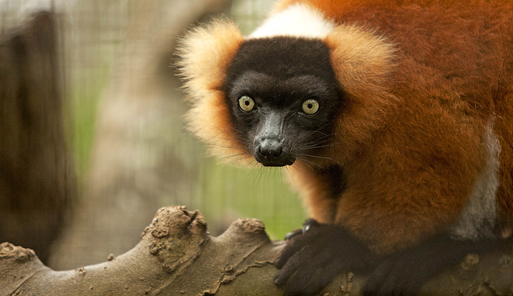 santa fe zoo