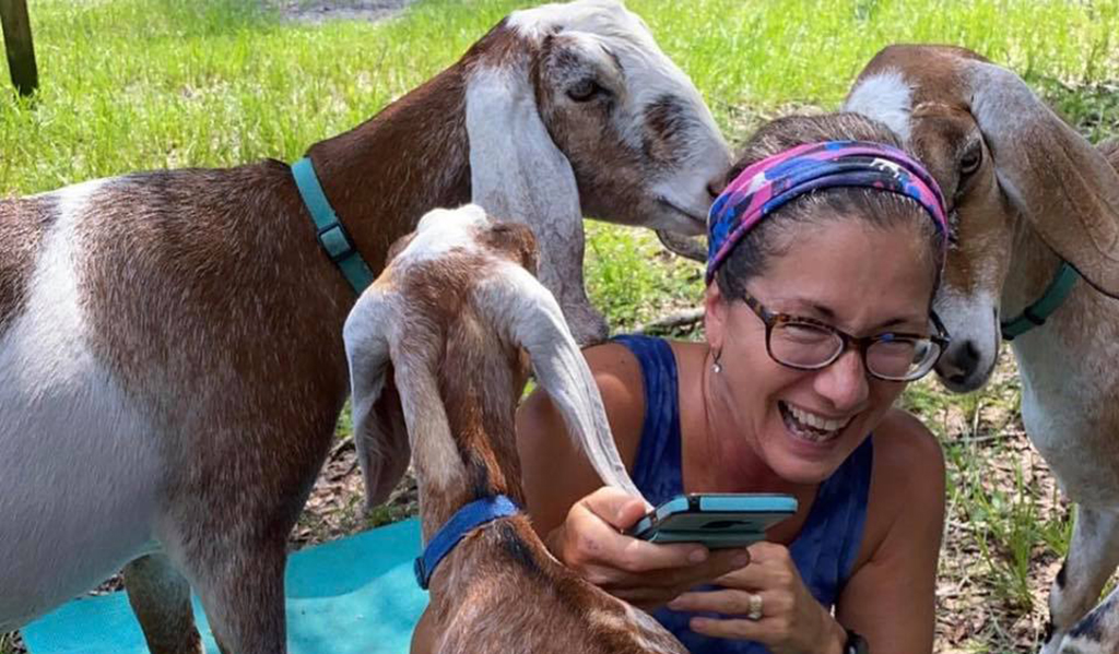 yoga with little goats