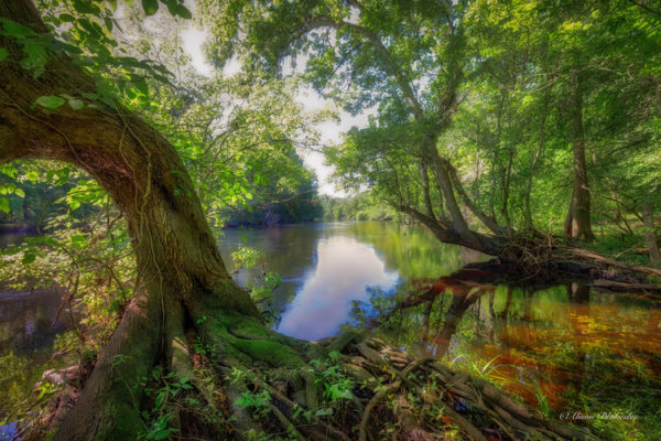 Santa Fe River Preserve