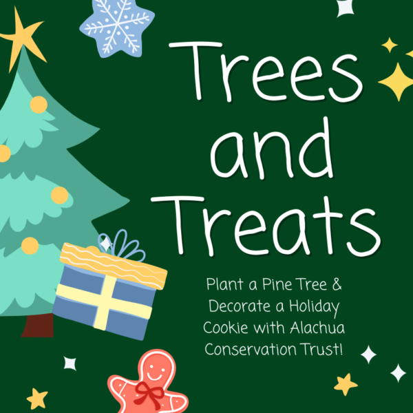 Trees and Treats