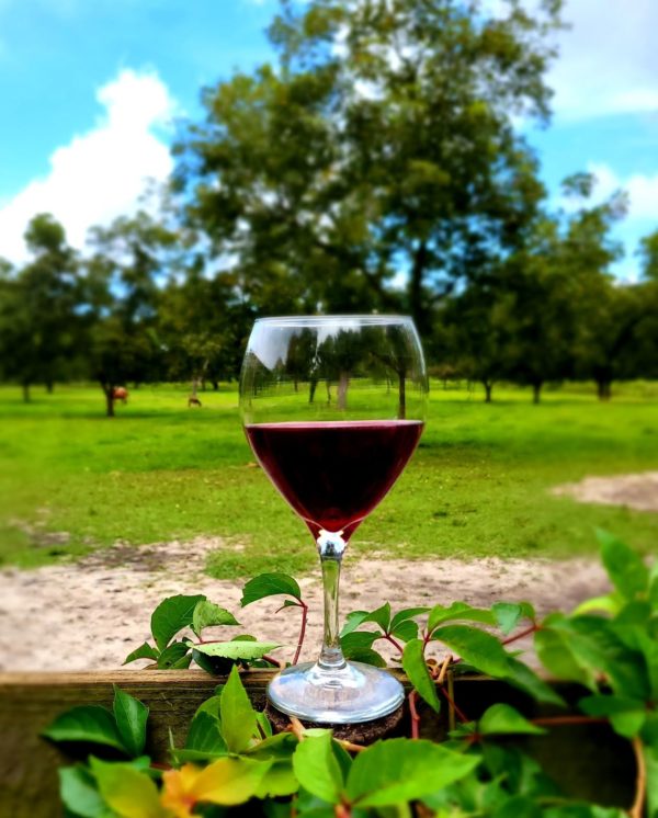 Organic Blueberry Wine